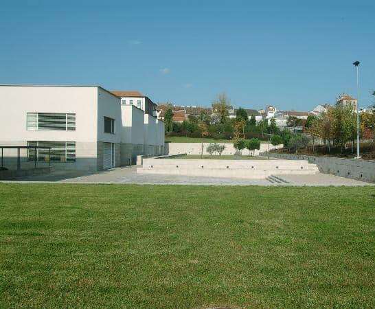 Greek and Roman Collection