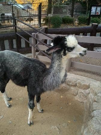 Satsukiyama Zoo