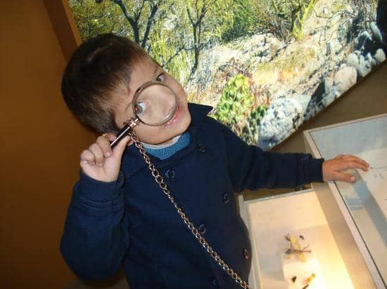 Diverse Cultural Events