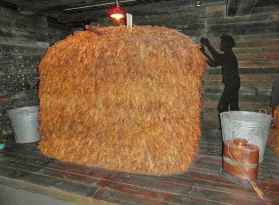 Temporary Exhibitions