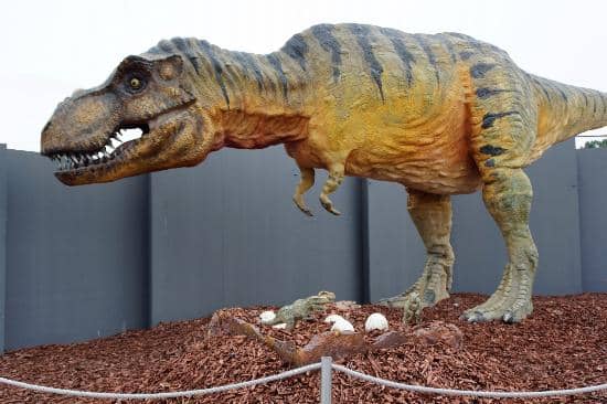 Themed Temporary Exhibitions