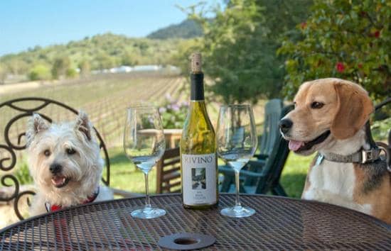 Award-Winning Wines