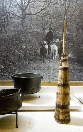 Local History & Farming