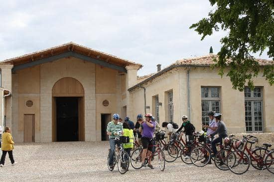 Wine Tasting Experience