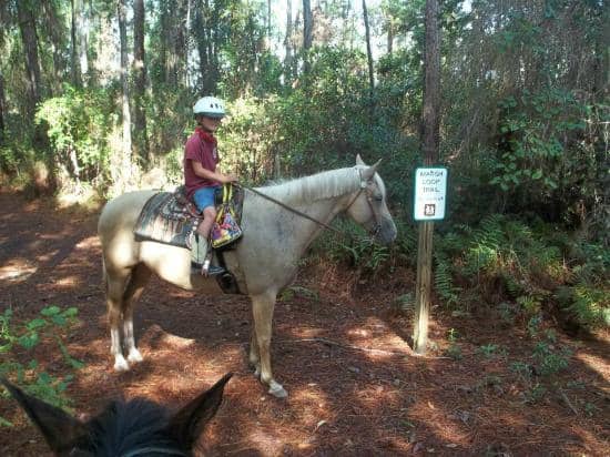 Rocky Creeks & Boulders