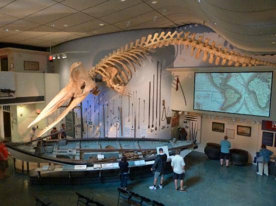 Interactive Kids' Club