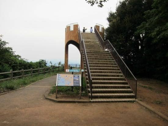 Colorful Flower Displays