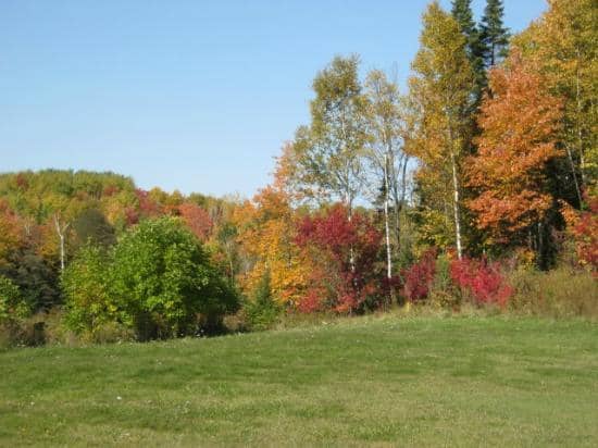 Paved Walking Path