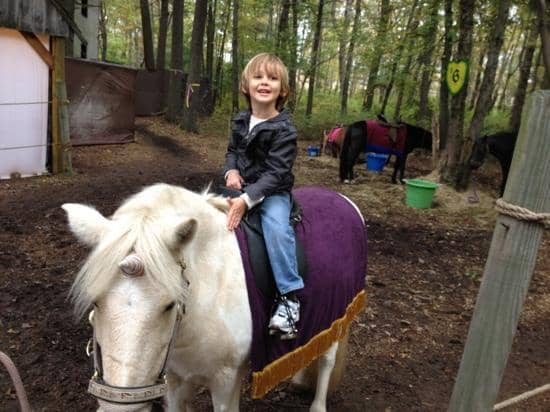 Theatrical Performances