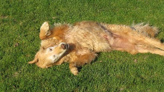 Kid-Friendly Fun Zone