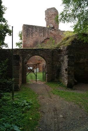 Forest Hiking Trails