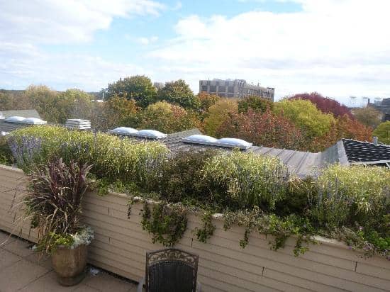 Himalayan Salt Sauna