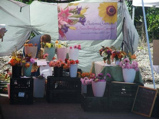 Live Music & Ambiance