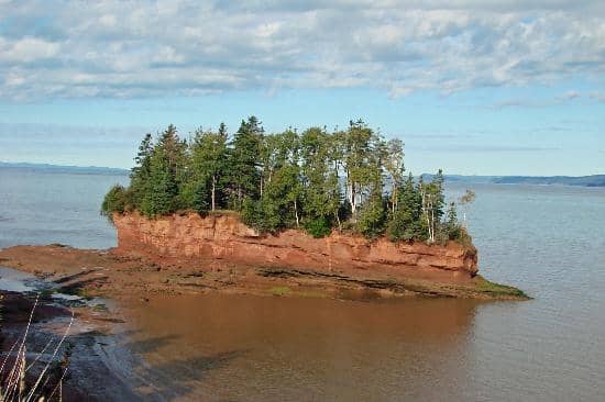 Lighthouse Views