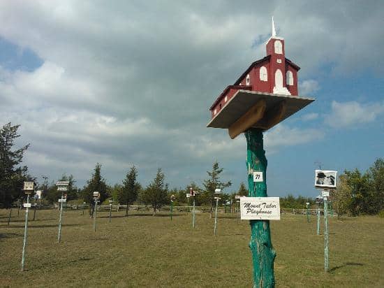 Vertical photo