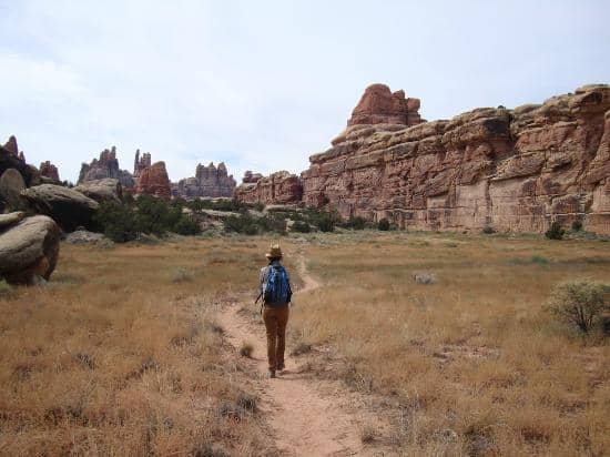 Needles Overlook