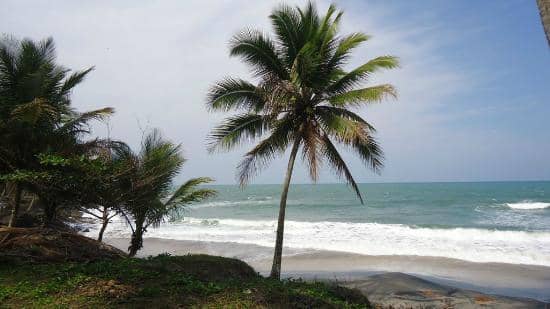 Tranquil Hiking Trail