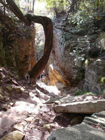 Fiery Gizzard Trail