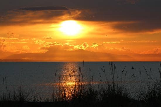 Bird Watching Paradise