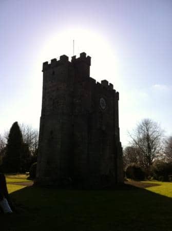 Vertical photo