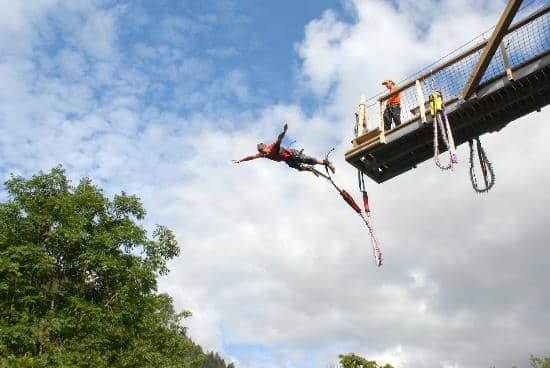 Accrobranche (Tree Climbing)