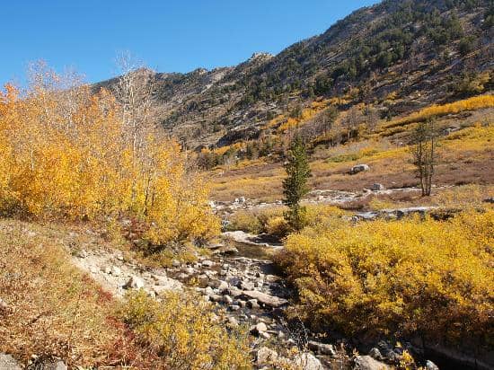 Liberty Pass Trail