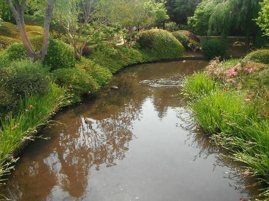 Mountain-Style Stream & Bridge
