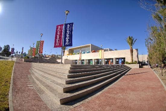 Human Body Exploration