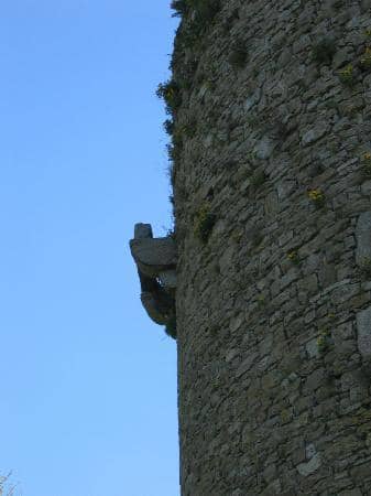 Vertical photo