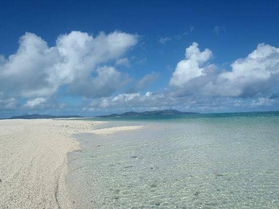 Snorkeling & Marine Life