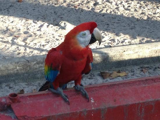 Seven Ponds Monument