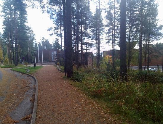 Nostalgic Forestry Equipment