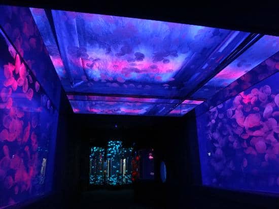 Sea Galleria