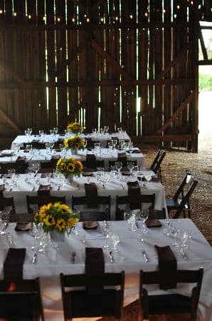 Wine Tasting Experience