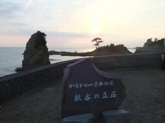 Majestic Mt. Fuji View
