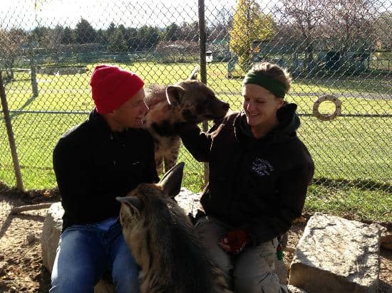 Interactive Animal Encounters