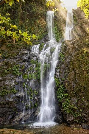 Refreshing Swimming Pond
