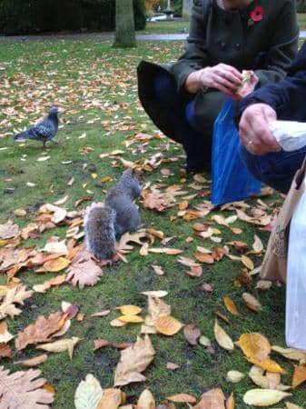 Children's Play Area