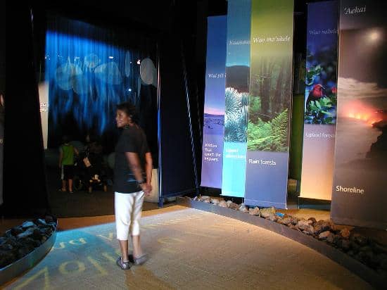 Dinosaur Exhibit