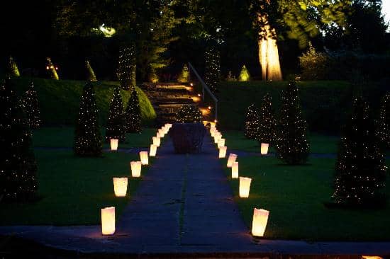 Extensive Plant and Garden Supplies