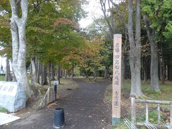 Autumn Foliage Spectacle