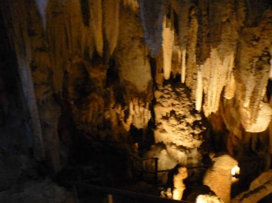 Guided Tour Experience