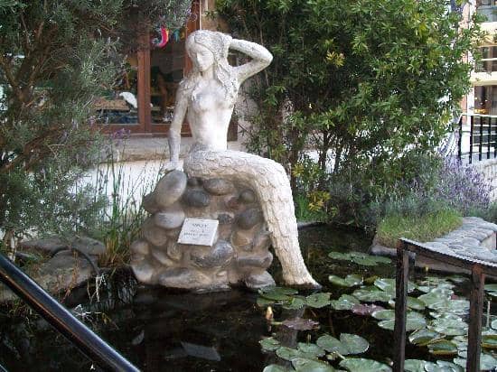 MONDONGO Art Display