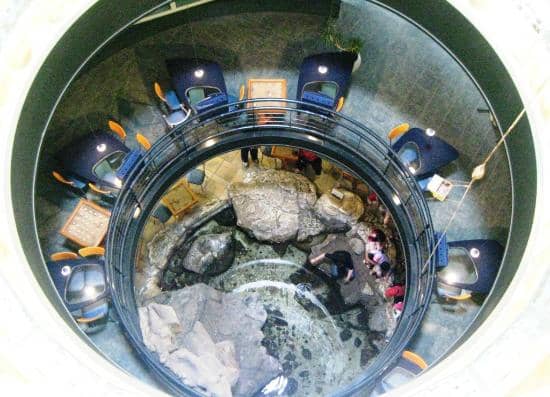 Contemporary Art Exhibitions