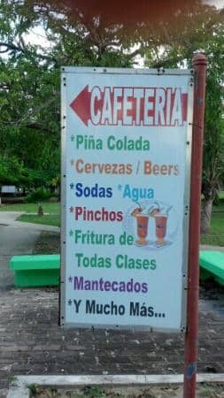 Accessible Beach Experience