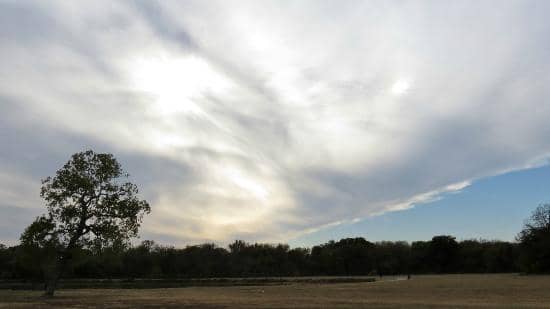 Prairie Remnant