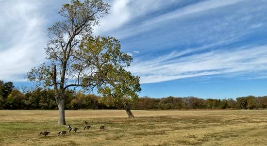Scenic Walking Trails