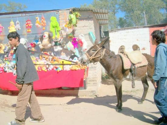 Thermal Water Origins