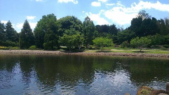 Mountain-Style Stream & Bridge