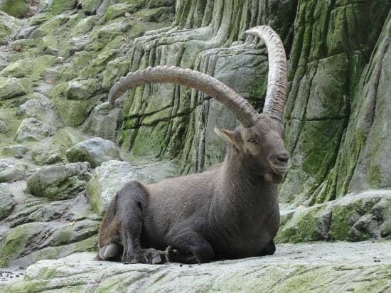 Scenic Walking Trails